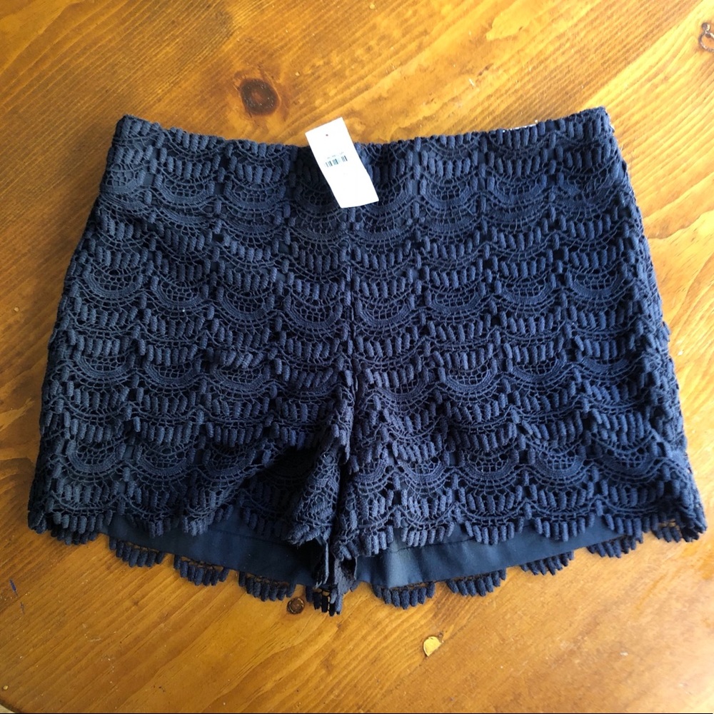 Loft Riviera Shorts, BNWT!